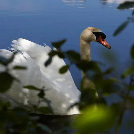 Haraldskaer Sinatur & Konference Vejle