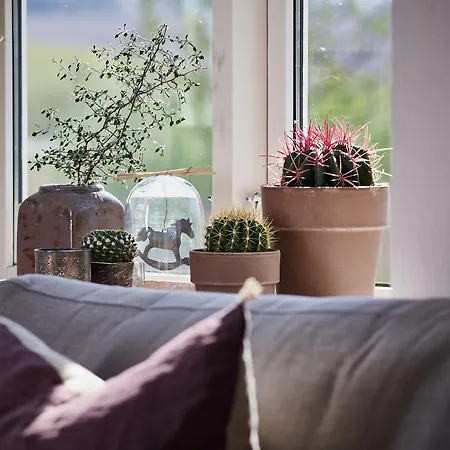 Haraldskaer Sinatur & Konference Vejle