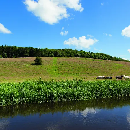 Haraldskaer Sinatur & Konference