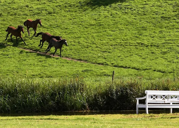 Hotell Haraldskaer Sinatur & Konference 4*